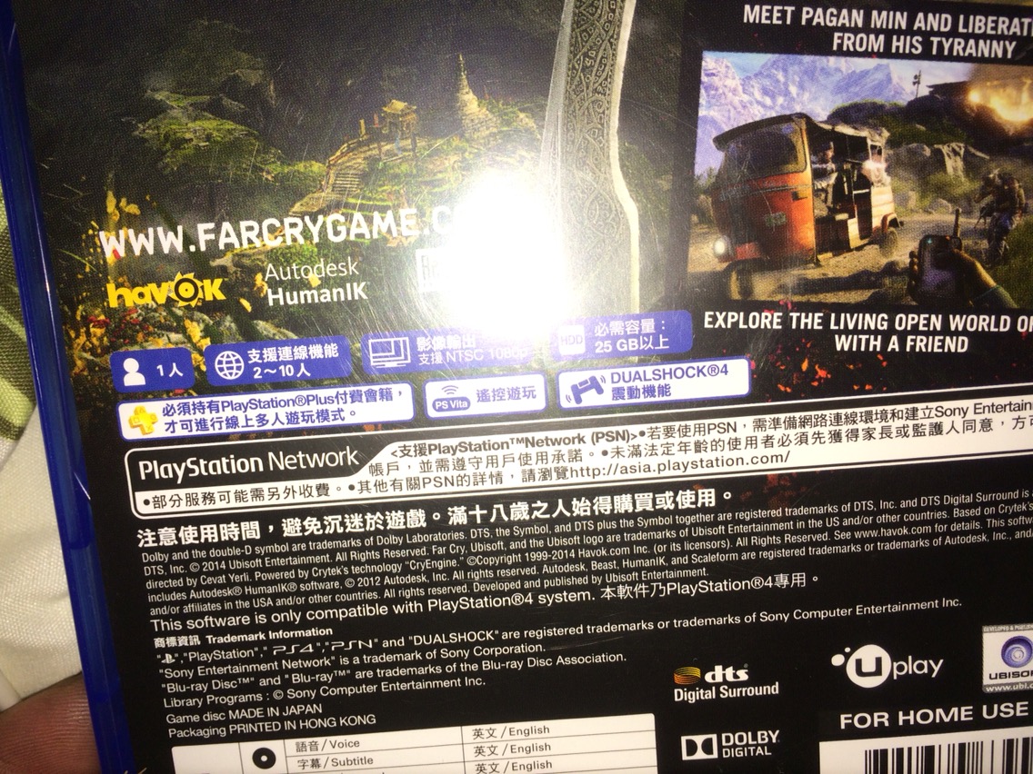 孤島驚魂4