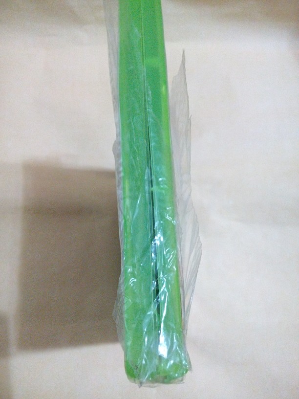 雇傭兵2