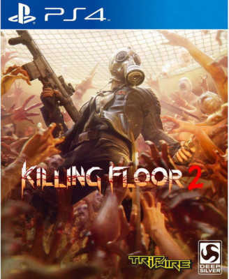 PS4殺戮空間2 港版中文