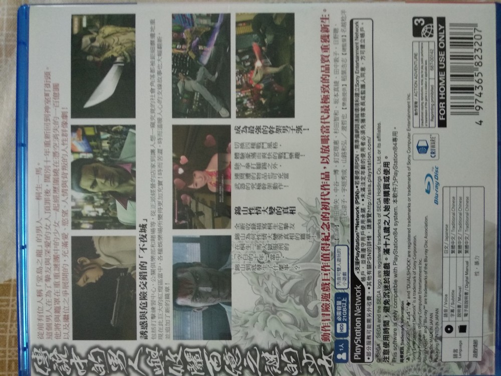 如龍 極 中文版