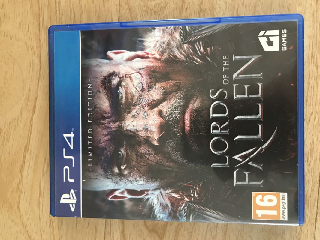 墮落之王 lords of fallen